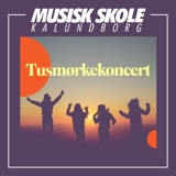 Tusmørkekoncert