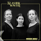 Klassisk Koncert - Steinaa-trioen